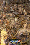 09181 - Sericho Pallasite Meteorite Polished Endcut Section Fell in Kenya 5.8 g