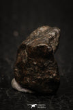 05267 - Partial NWA L-H Type Unclassified Ordinary Chondrite Meteorite 4.8g