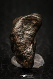 05267 - Partial NWA L-H Type Unclassified Ordinary Chondrite Meteorite 4.8g