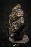 05267 - Partial NWA L-H Type Unclassified Ordinary Chondrite Meteorite 4.8g