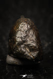 05268 - Fully Complete NWA L-H Type Unclassified Ordinary Chondrite Meteorite 3.2g