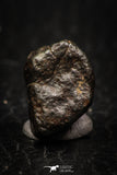 05268 - Fully Complete NWA L-H Type Unclassified Ordinary Chondrite Meteorite 3.2g