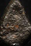 05269 - Fully Complete NWA L-H Type Unclassified Ordinary Chondrite Meteorite 5.8g