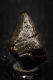 05269 - Fully Complete NWA L-H Type Unclassified Ordinary Chondrite Meteorite 5.8g