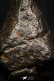 05269 - Fully Complete NWA L-H Type Unclassified Ordinary Chondrite Meteorite 5.8g