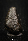 05269 - Fully Complete NWA L-H Type Unclassified Ordinary Chondrite Meteorite 5.8g