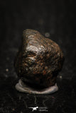 05269 - Fully Complete NWA L-H Type Unclassified Ordinary Chondrite Meteorite 5.8g