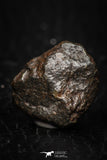 05270 - Partial NWA L-H Type Unclassified Ordinary Chondrite Meteorite 4.2g