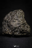 20996-31 - NWA Possible Achondrite Meteorite of Basaltic composition. In study. 103.6g