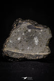 20996-31 - NWA Possible Achondrite Meteorite of Basaltic composition. In study. 103.6g