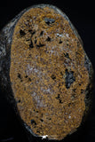 20997-184 - NWA Iron Meteorite. In study. 210g