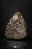 05273 - Fully Complete NWA L-H Type Unclassified Ordinary Chondrite Meteorite 7.8g