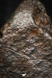 05273 - Fully Complete NWA L-H Type Unclassified Ordinary Chondrite Meteorite 7.8g