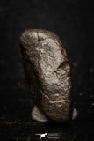 05273 - Fully Complete NWA L-H Type Unclassified Ordinary Chondrite Meteorite 7.8g