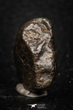05273 - Fully Complete NWA L-H Type Unclassified Ordinary Chondrite Meteorite 7.8g