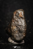 05273 - Fully Complete NWA L-H Type Unclassified Ordinary Chondrite Meteorite 7.8g