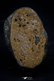 20997-184 - NWA Iron Meteorite. In study. 210g