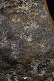 20997-184 - NWA Iron Meteorite. In study. 210g
