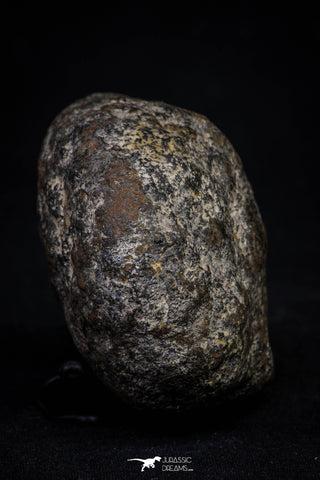 20997-184 - NWA Iron Meteorite. In study. 210g