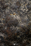 20997-184 - NWA Iron Meteorite. In study. 210g