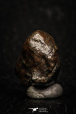 05274 - Fully Complete NWA L-H Type Unclassified Ordinary Chondrite Meteorite 7.2g