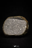 20998-14 - NWA Possible Achondrite Meteorite Porphyritic Basalt. In study. 233g