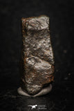 05275 - Partial NWA L-H Type Unclassified Ordinary Chondrite Meteorite 5.4g