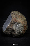 20998-14 - NWA Possible Achondrite Meteorite Porphyritic Basalt. In study. 233g