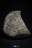 20998-14 - NWA Possible Achondrite Meteorite Porphyritic Basalt. In study. 233g
