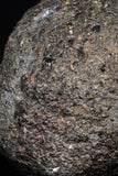 20998-14 - NWA Possible Achondrite Meteorite Porphyritic Basalt. In study. 233g
