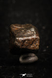 05275 - Partial NWA L-H Type Unclassified Ordinary Chondrite Meteorite 5.4g