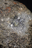 20998-14 - NWA Possible Achondrite Meteorite Porphyritic Basalt. In study. 233g