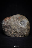 20998-14 - NWA Possible Achondrite Meteorite Porphyritic Basalt. In study. 233g