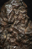 05276 - Partial NWA L-H Type Unclassified Ordinary Chondrite Meteorite 11.2g
