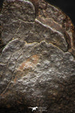 05276 - Partial NWA L-H Type Unclassified Ordinary Chondrite Meteorite 11.2g