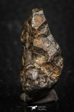 05276 - Partial NWA L-H Type Unclassified Ordinary Chondrite Meteorite 11.2g