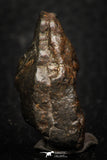 05276 - Partial NWA L-H Type Unclassified Ordinary Chondrite Meteorite 11.2g