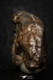 05276 - Partial NWA L-H Type Unclassified Ordinary Chondrite Meteorite 11.2g