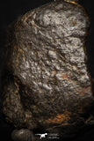 05276 - Partial NWA L-H Type Unclassified Ordinary Chondrite Meteorite 11.2g
