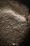 05278 - Partial NWA L-H Type Unclassified Ordinary Chondrite Meteorite 8.9g