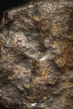 05278 - Partial NWA L-H Type Unclassified Ordinary Chondrite Meteorite 8.9g