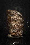 05278 - Partial NWA L-H Type Unclassified Ordinary Chondrite Meteorite 8.9g