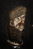 05278 - Partial NWA L-H Type Unclassified Ordinary Chondrite Meteorite 8.9g