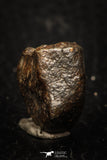05278 - Partial NWA L-H Type Unclassified Ordinary Chondrite Meteorite 8.9g