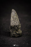 21000-27 - NWA Possible Achondrite Meteorite Basaltic Composition. In study. 29 g