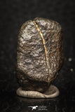 05279 - Fully Complete NWA L-H Type Unclassified Ordinary Chondrite Meteorite 8.9g