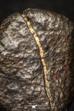 05279 - Fully Complete NWA L-H Type Unclassified Ordinary Chondrite Meteorite 8.9g