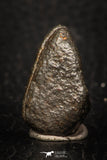 05279 - Fully Complete NWA L-H Type Unclassified Ordinary Chondrite Meteorite 8.9g
