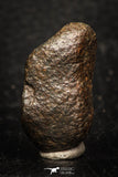 05280 - Fully Complete NWA L-H Type Unclassified Ordinary Chondrite Meteorite 9.3g