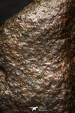 05280 - Fully Complete NWA L-H Type Unclassified Ordinary Chondrite Meteorite 9.3g